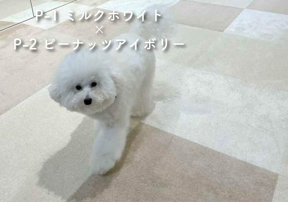 静床プレミア設置イメージ5