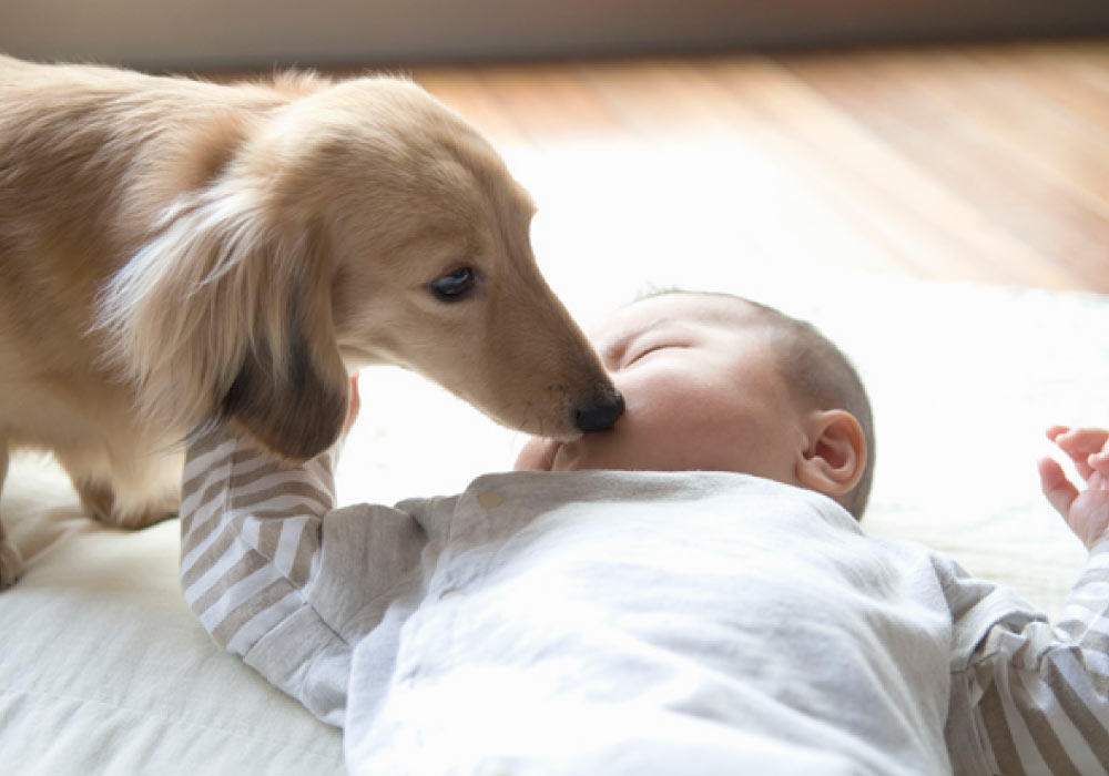 どのような環境でも快適に過ごすことができるよう、「10年ものの防音カーペット」をつくりました。