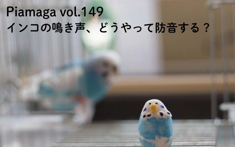 インコの鳴き声、どうやって防音する?