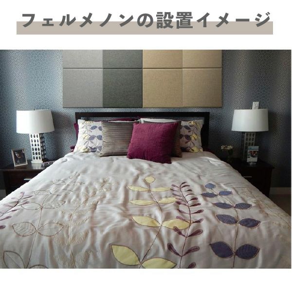 フェルメノンの設置イメージ