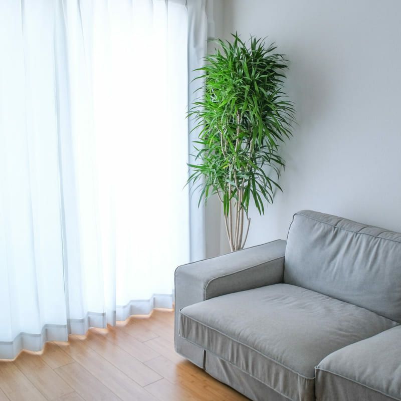 防音レースカーテン トルモア 幅100cm×丈198cm 2枚組 | 防音専門ピア