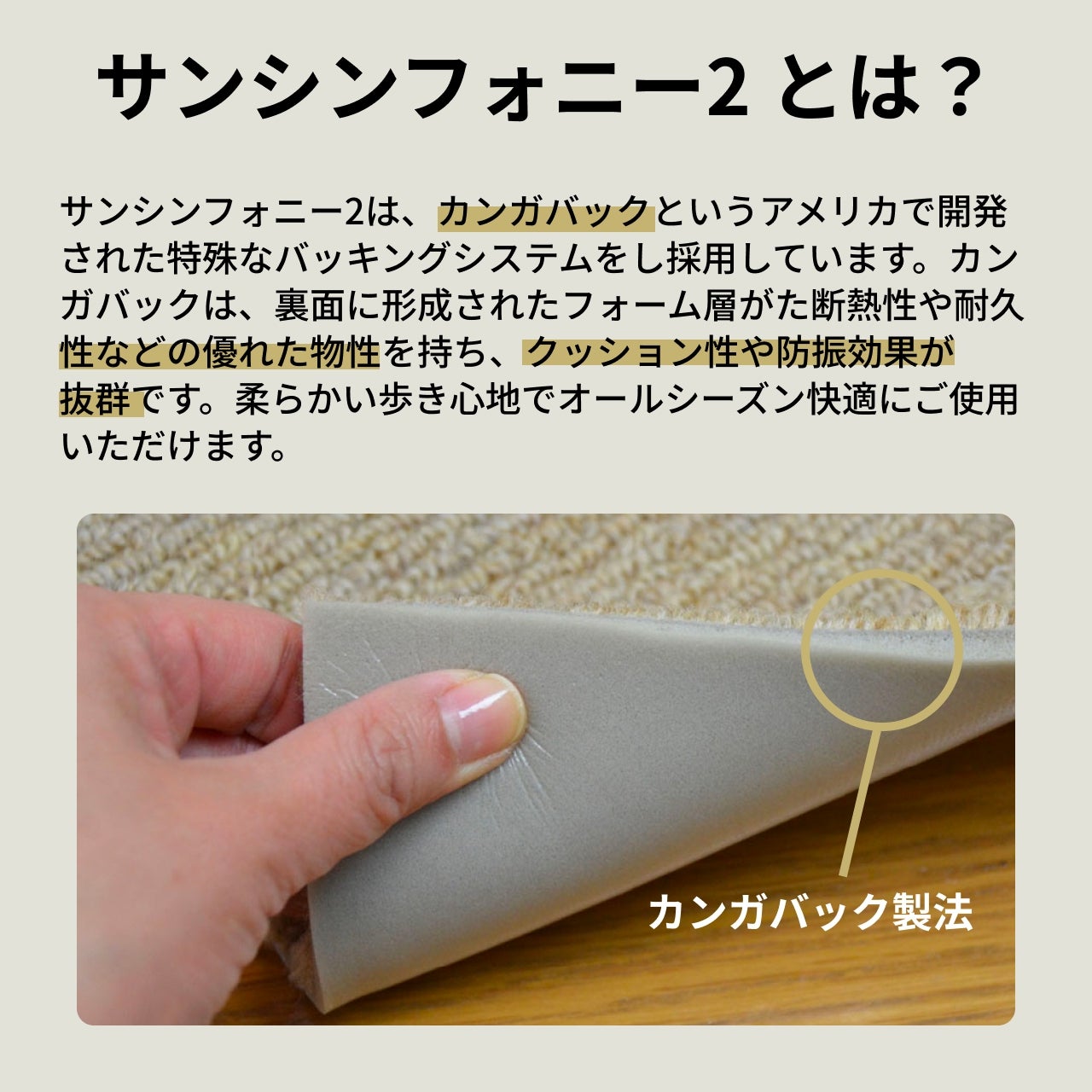 防音カーペット ラグ サンシンフォニー2 サイズオーダー(176-200cm×176