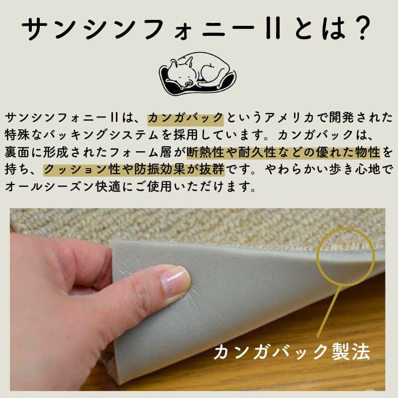 サンシンフォニー2とは